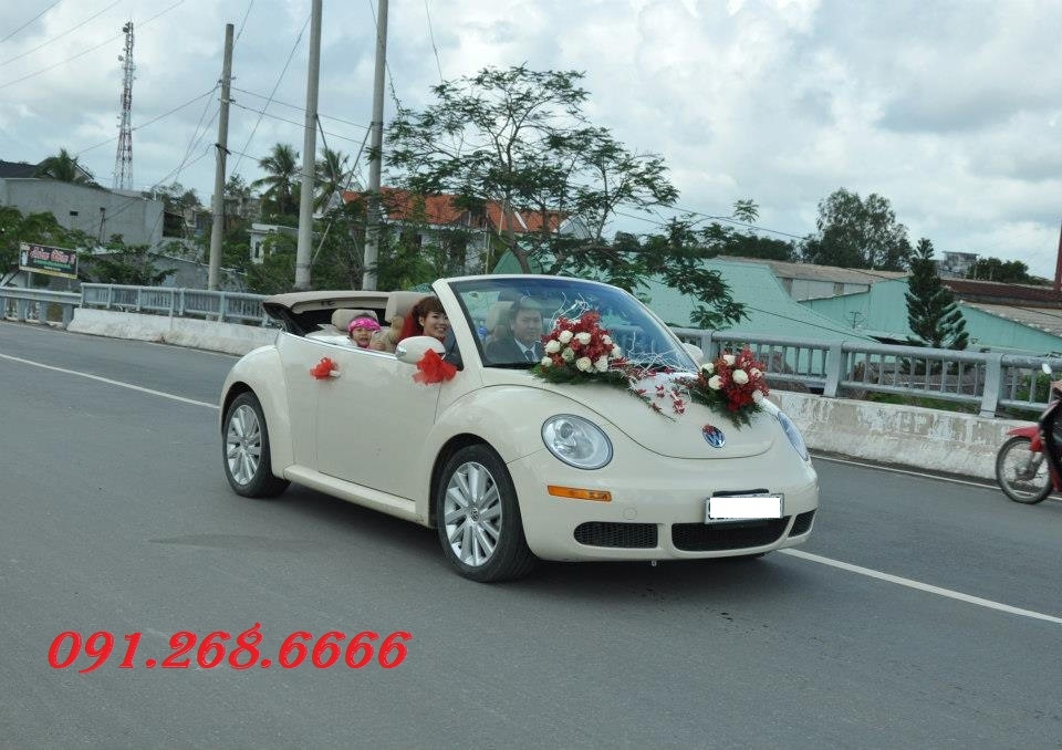 Cho thuê xe cưới mui trần Wolkswagen Beetle tại Nguyễn Chí Thanh quận đống đa hà nội