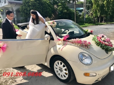 Cho thuê xe cưới mui trần Wolkswagen Beetle tại phố huế quận hai bà trưng hà nội - 0912686666