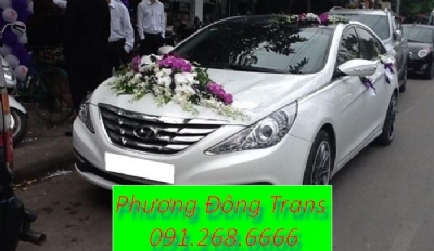 Thuê xe cưới hyundai sonata màu trắng giá rẻ tại đội cấn quận ba đình hà nội