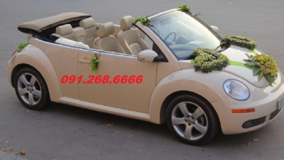 Cho thuê xe cưới mui trần Wolkswagen Beetle tại xuân tảo quận bắc từ liêm hà nội - 0912686666
