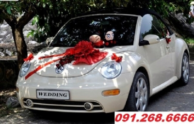 Cho thuê xe cưới mui trần Wolkswagen Beetle tại hoàng liệt quận hoàng mai hà nội - 0912686666